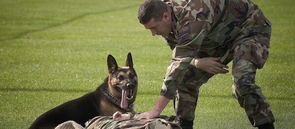 Un chien policier - Sputnik Afrique