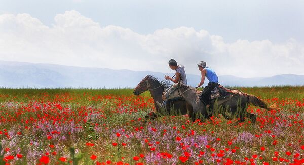 Champs de fleurs près d’Almaty: 12 clichés à couper le souffle - Sputnik Afrique