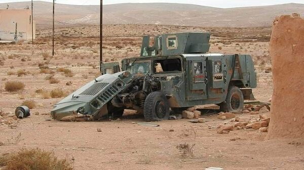 Un autre centre de Daech pour former des «lionceaux du califat» découvert en Syrie  - Sputnik Afrique