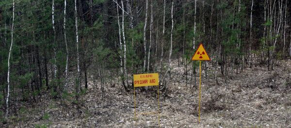 Zone d’exclusion de Tchernobyl - Sputnik Afrique