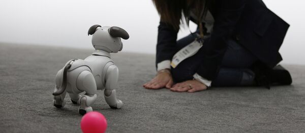 The Aibo robot dog is on display at the Sony booth after a news conference at CES International, Monday, Jan. 8, 2018, in Las Vegas. - Sputnik Afrique