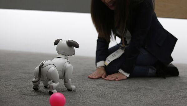 The Aibo robot dog is on display at the Sony booth after a news conference at CES International, Monday, Jan. 8, 2018, in Las Vegas. - Sputnik Afrique