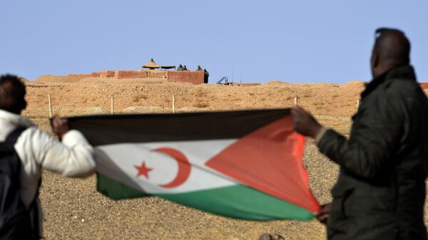 Des citoyens sahraouis portant un drapeau du Sahara occidental - Sputnik Afrique