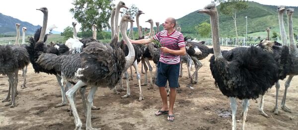 Denis Tomychev - Sputnik Afrique