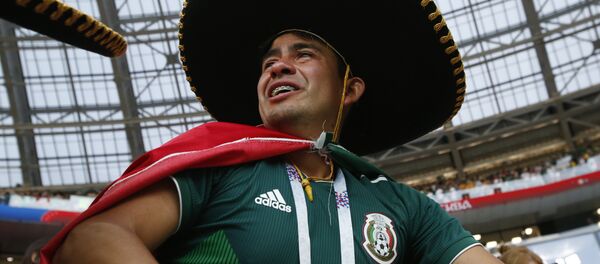 Un fan mexicain Un fan mexicain - Sputnik Afrique