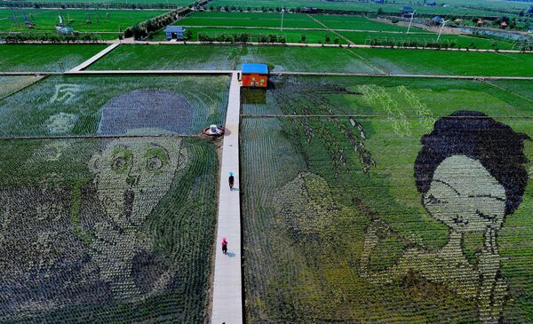 Chine: des rizières transformées en tableaux géants - Sputnik Afrique