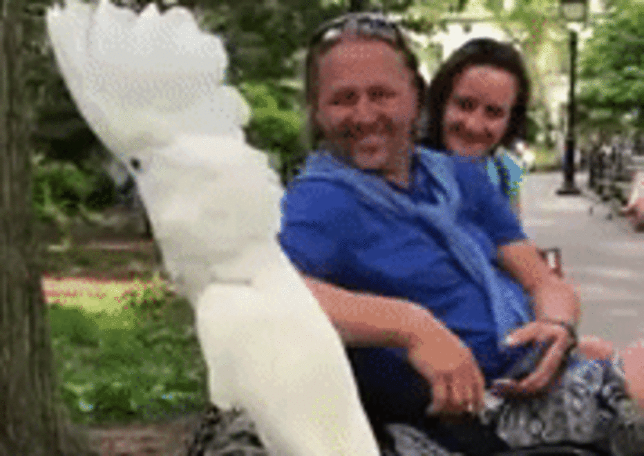 Попугай - Sputnik Afrique