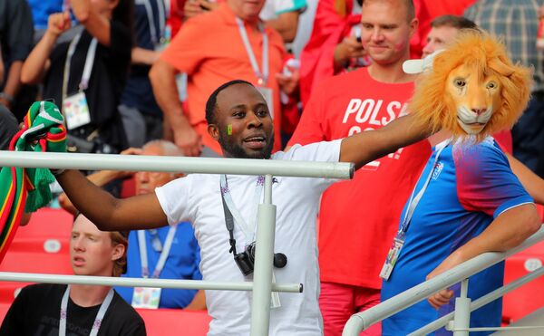 Un fan des Lions du Sénégal - Sputnik Afrique