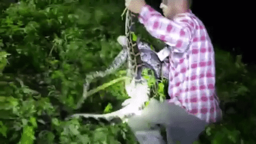 python - Sputnik Afrique