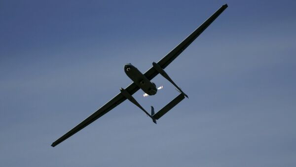 Un drone de l'armée israélienne - Sputnik Afrique