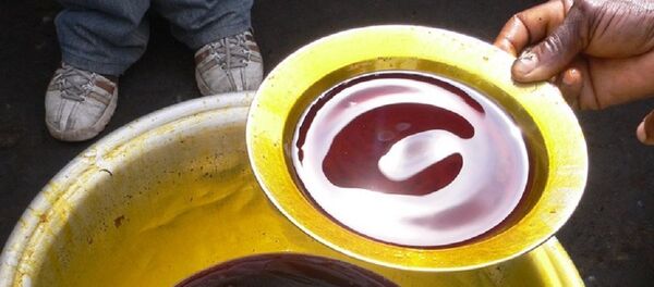 Palm oil production in rural Jukwa, Ghana Palm oil production in rural Jukwa, Ghana - Sputnik Afrique