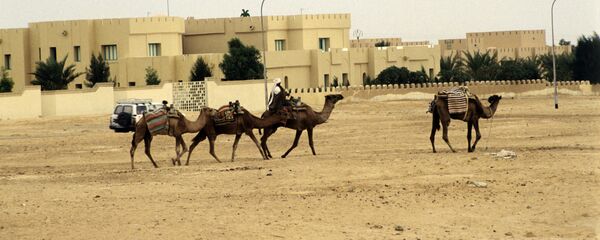 Sahara Occidental - Sputnik Afrique