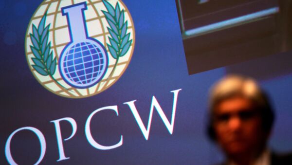 The logo of the Organisation for the Prohibition of Chemical Weapons (OPCW) is seen during a special session in the Hague, Netherlands June 26, 2018 - Sputnik Afrique