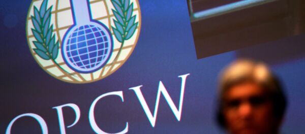 The logo of the Organisation for the Prohibition of Chemical Weapons (OPCW) is seen during a special session in the Hague, Netherlands June 26, 2018 - Sputnik Afrique