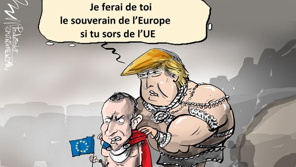 The Washington Post: Trump aurait proposé à Macron de quitter l'UE - Sputnik Afrique