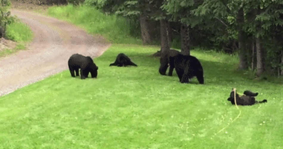 Anchorage - Sputnik Afrique