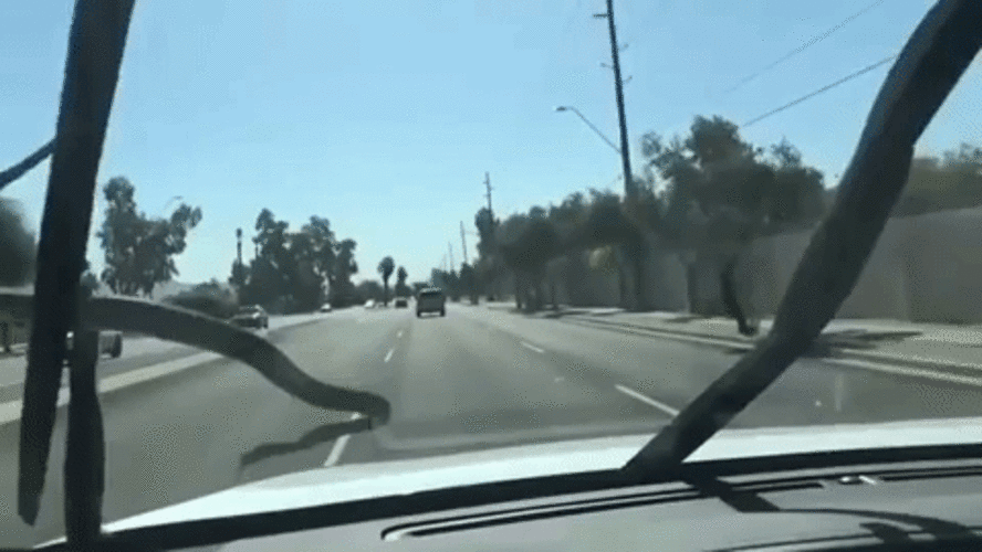 Un essuie-glace GIF - Sputnik Afrique