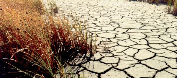 Dürre (Symbolbild) - Sputnik Afrique