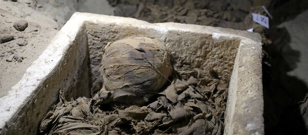 Un sarcophage - Sputnik Afrique