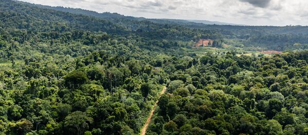 Montagne d'Or - Sputnik Afrique