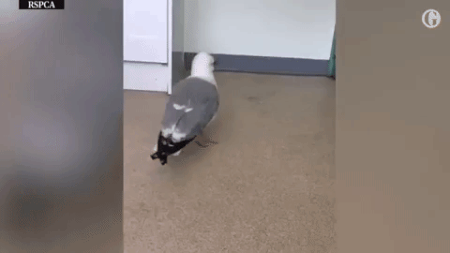 Лов минтая в Приморье - Sputnik Afrique