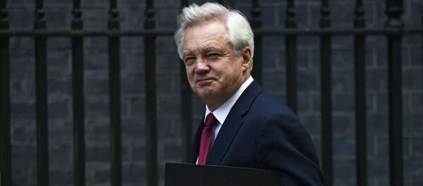 David Davis, Secretary of State for Exiting the European Union arrives at Downing Street in London, Britain October 24, 2016. - Sputnik Afrique