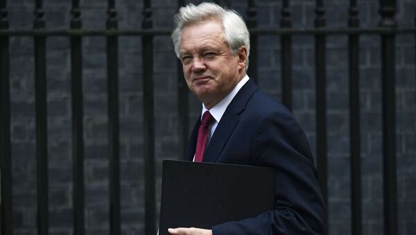 David Davis, Secretary of State for Exiting the European Union arrives at Downing Street in London, Britain October 24, 2016. - Sputnik Afrique