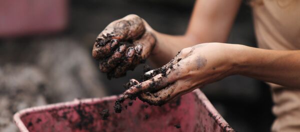 Fouilles - Sputnik Afrique