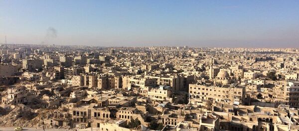 Alep - Sputnik Afrique