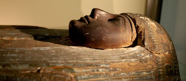 Une mommie (Image d'illustration) Une mommie (Image d'illustration) - Sputnik Afrique