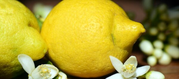 Un citron - Sputnik Afrique