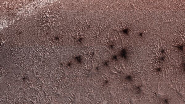 Araignées sur Mars - Sputnik Afrique