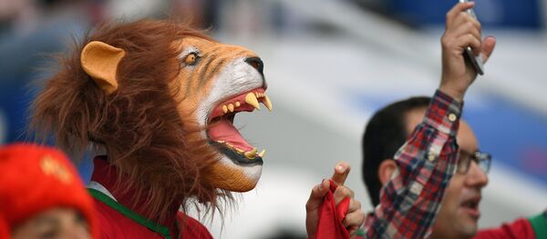 Les supporters du Maroc  - Sputnik Afrique