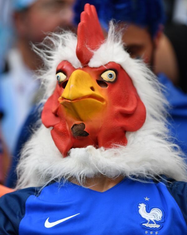 Un supporter français avant le match de huitièmes de finale France-Argentine du Mondial 2018 - Sputnik Afrique