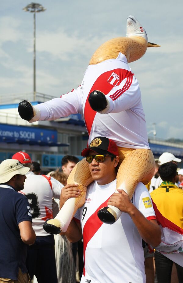 Un supporter péruvien avant le match Australie-Pérou au Mondial 2018 - Sputnik Afrique