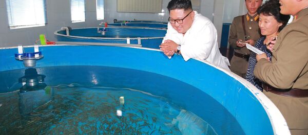 Kim Jong-un et l’économie - Sputnik Afrique