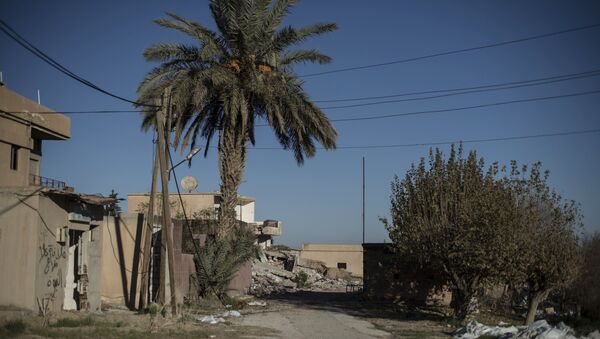 Деревни на северо-востоке Сирии, освобожденые от боевиков ИГ (ДАИШ) - Sputnik Afrique