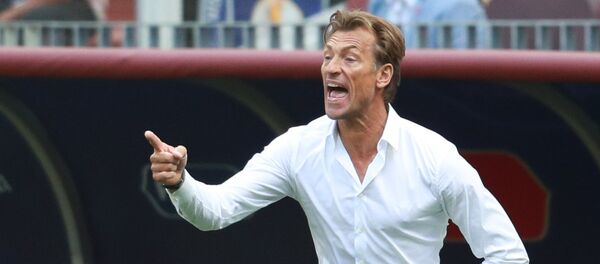 Главный тренер сборной Марокко Эрве Ренар во время матча группового этапа чемпионата мира по футболу между сборными Португалии и Марокко. Главный тренер сборной Марокко Эрве Ренар во время матча группового этапа чемпионата мира по футболу между сборными Португалии и Марокко. - Sputnik Afrique