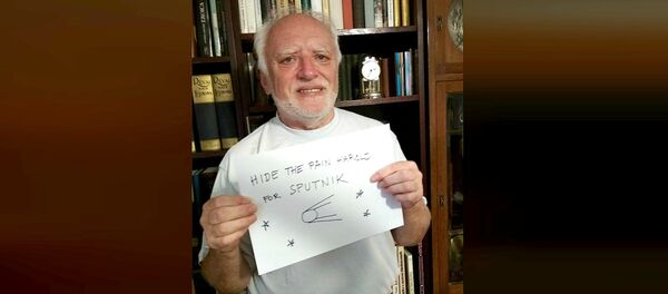 Hide The Pain Harold pour Sputnik - Sputnik Afrique