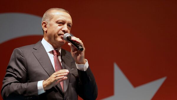 Recep Tayyip Erdogan intervient devant ses partisans à Istanbul (archive photo) - Sputnik Afrique