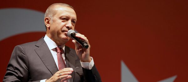 Recep Tayyip Erdogan intervient devant ses partisans à Istanbul (archive photo) - Sputnik Afrique