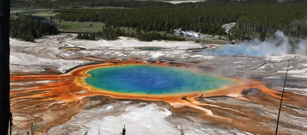 le parc national de Yellowstone aux États-Unis - Sputnik Afrique