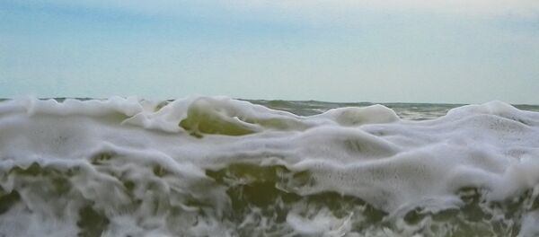 Une vague - Sputnik Afrique