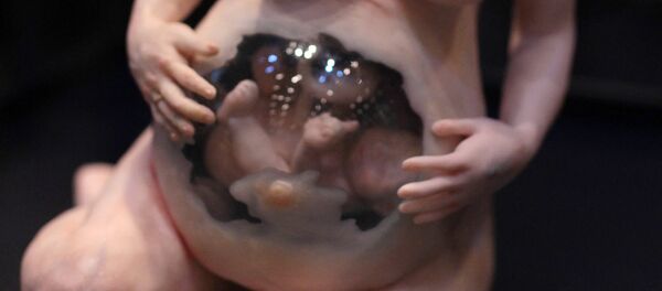 Poupée représentant une femme enceinte - Sputnik Afrique