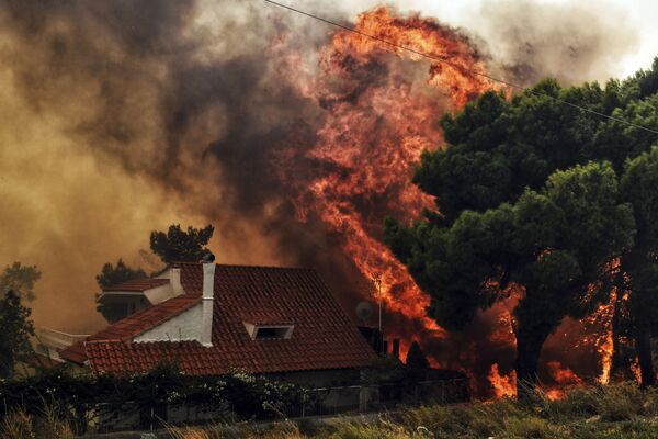 Effroyables feux de forêt en Grèce: des dizaines de victimes - Sputnik Afrique