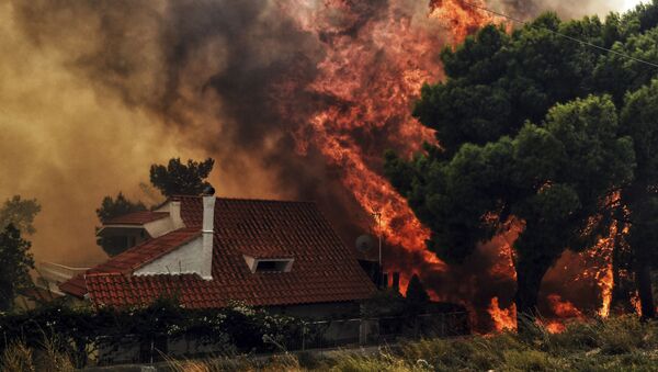 Effroyables feux de forêt en Grèce: des dizaines de victimes - Sputnik Afrique