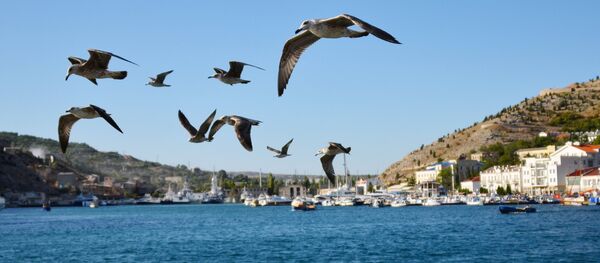 Russian regions, Crimea - Sputnik Afrique