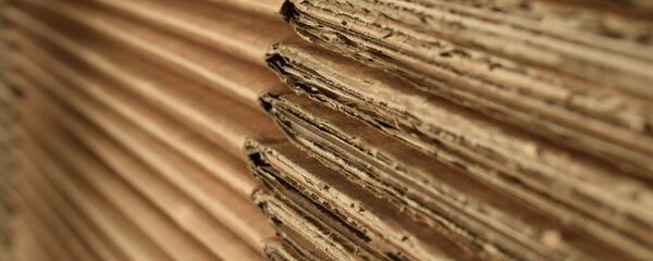 une boîte en carton - Sputnik Afrique