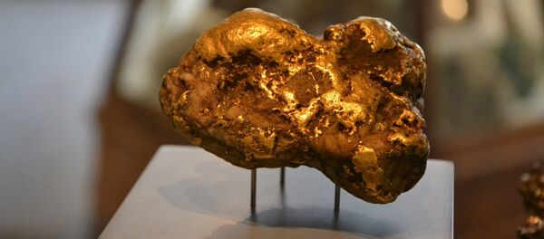 Une pépite d'or - Sputnik Afrique