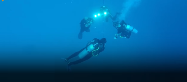 Le plongeur para-athlète russe Dmitri Pavlenko a établi un nouveau record - Sputnik Afrique